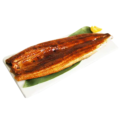 外銷蒲燒鰻魚